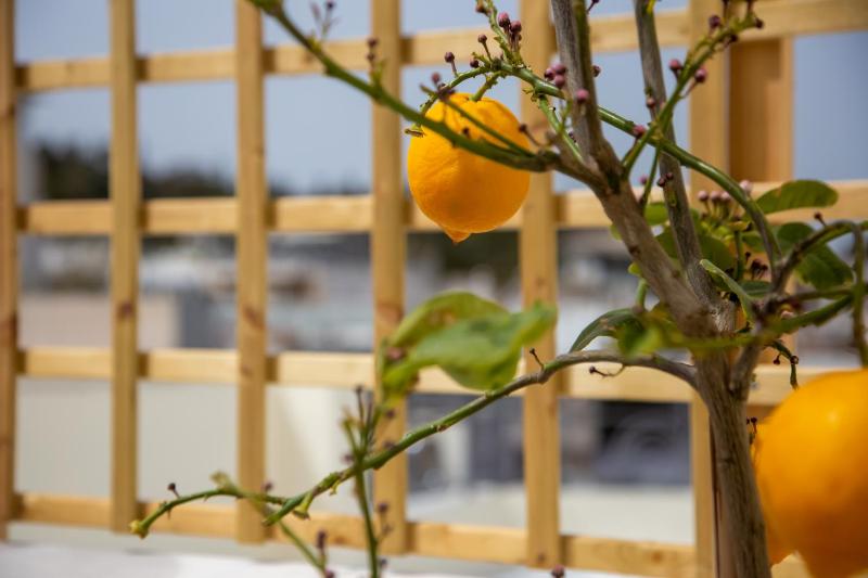 Ourania by Heloni Apartments - image 13