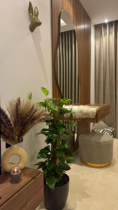 Taza Aqiq Riyadh - image 7