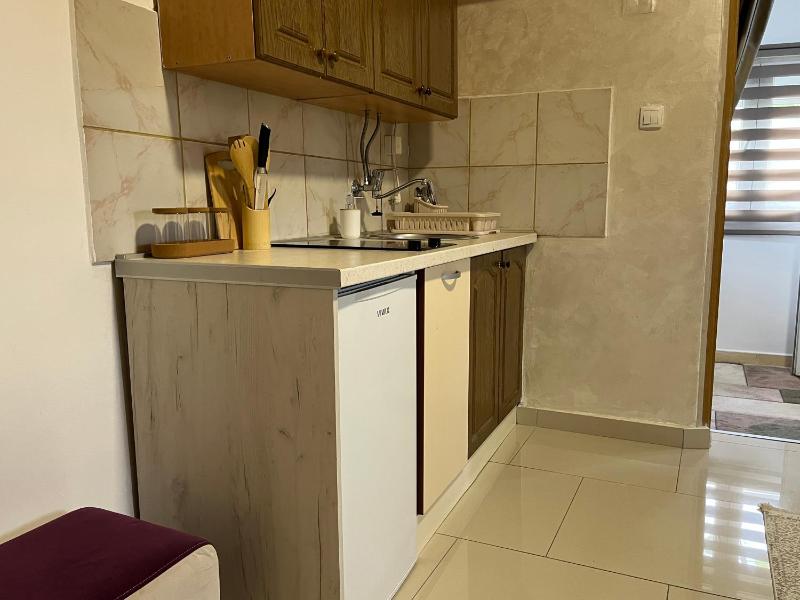 One-Bedroom Apartment image 4