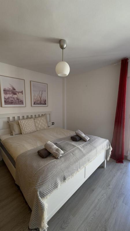 Apartment Feria Diana - image 4
