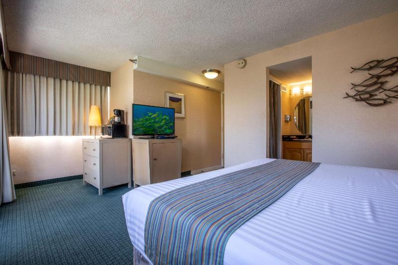 Superior Room image 4