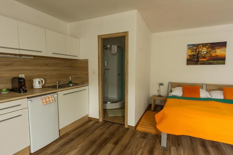 Apartmany Tereza & free parking - image 3