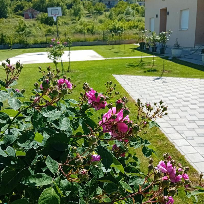 Villa Lila - image 10