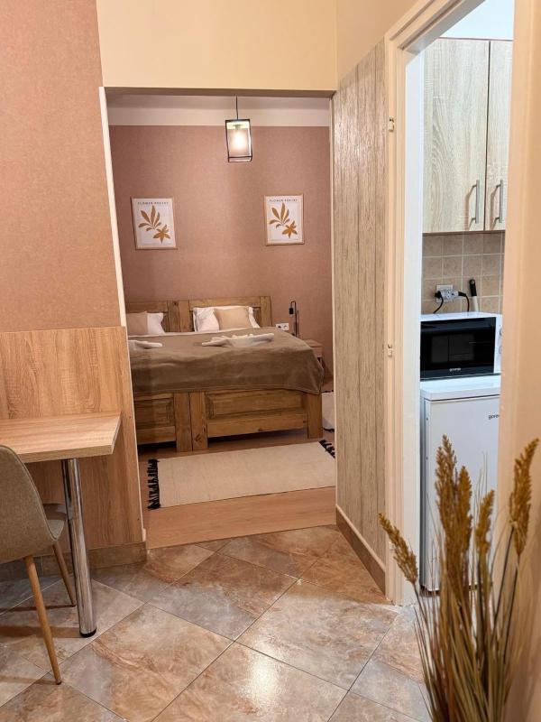 One-Bedroom Apartment image 2