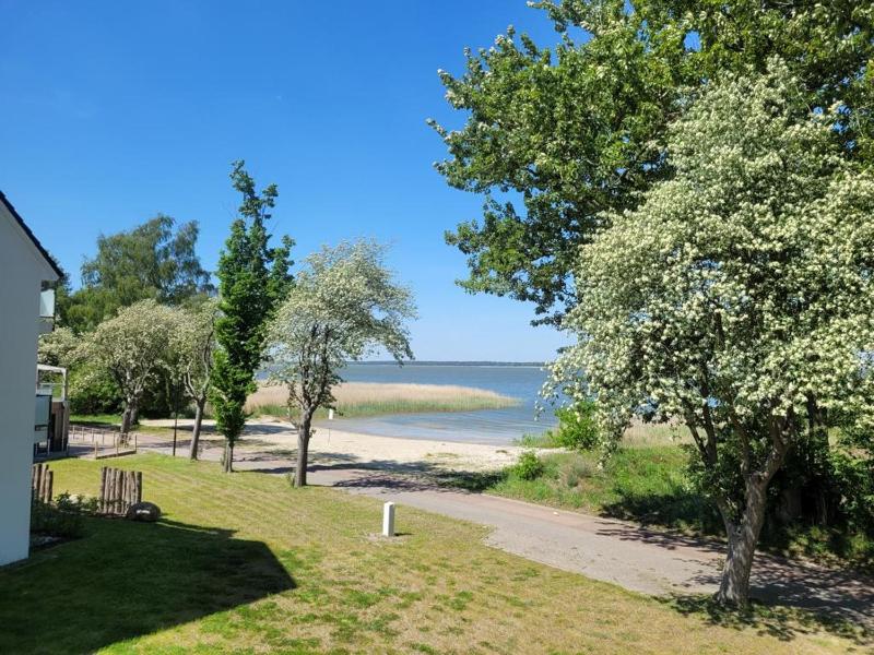 Baltic Lagoon Resort direkt am Meer - image 6
