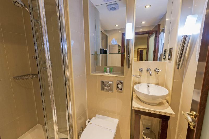 Executive Single Room image 2