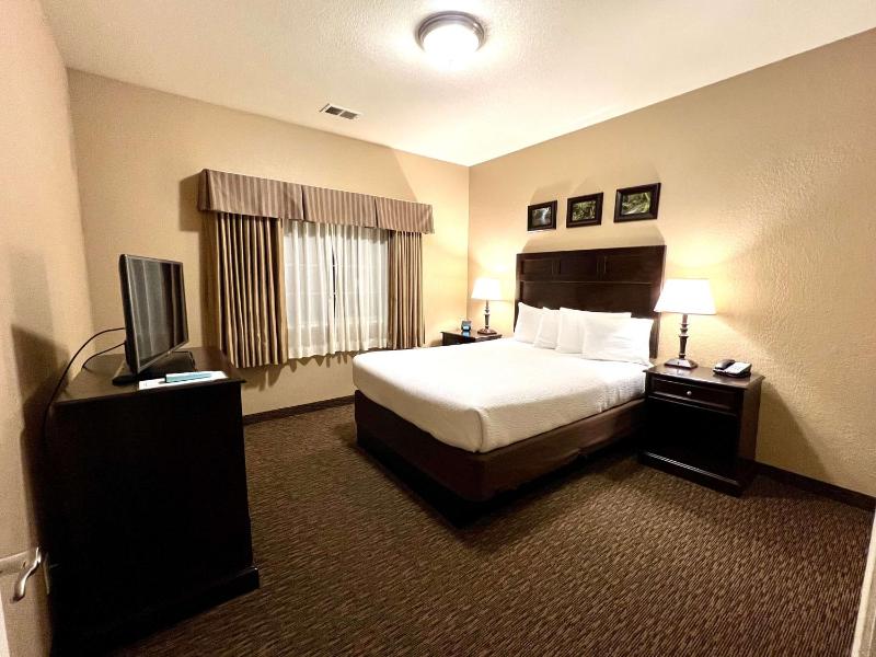 One-Bedroom Queen Suite with Sofa Bed