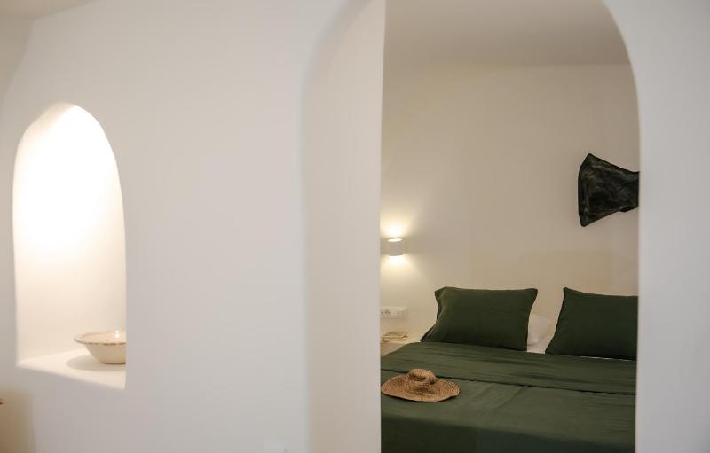Old Oia Houses - image 11