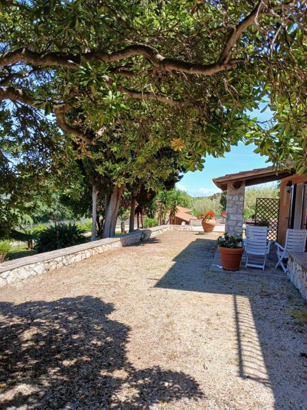I Fiori di Salici - image 45