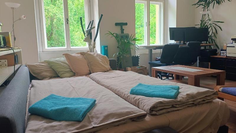 Park View - a digital Nomad's dream - image 6