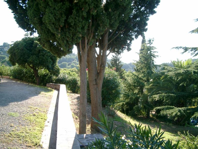 I Fiori di Salici - image 6