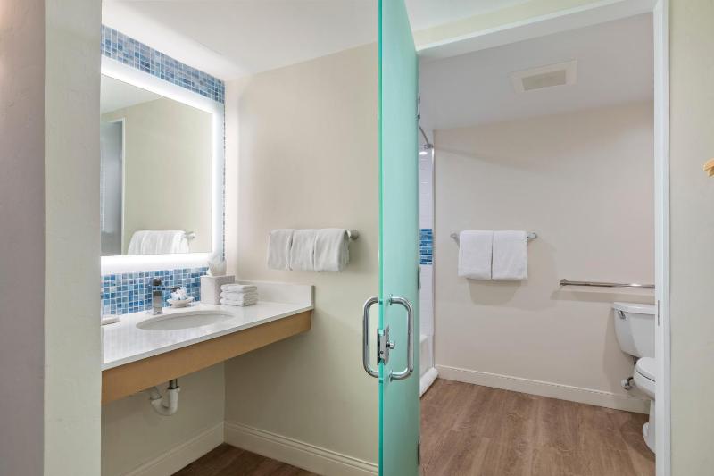 Standard View King Accessible image 3