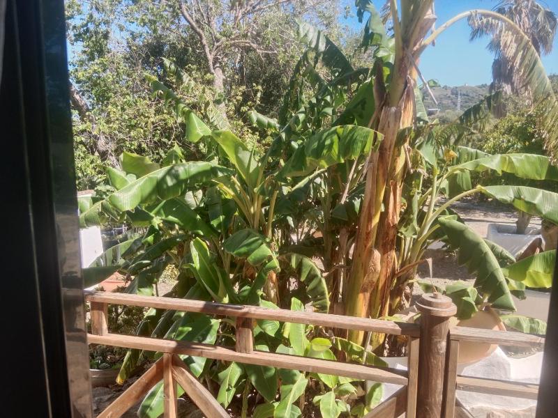 Casa Rural El Cubillo - image 5