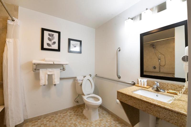 Executive King Room with Roll In Shower - Disability Access/Non-Smoking image 3