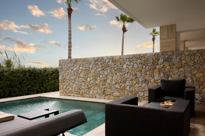 Design Suite with Private Pool image 3