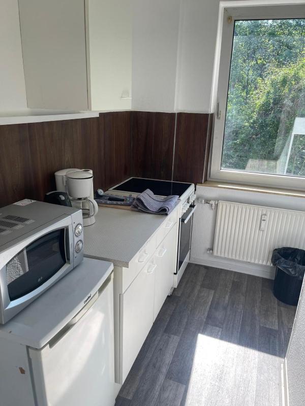 One-Bedroom Apartment image 4