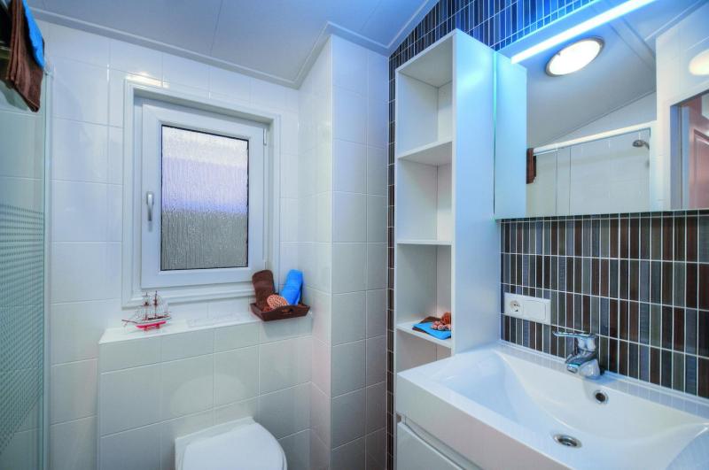 Deluxe Mobile Home - Chatel image 3