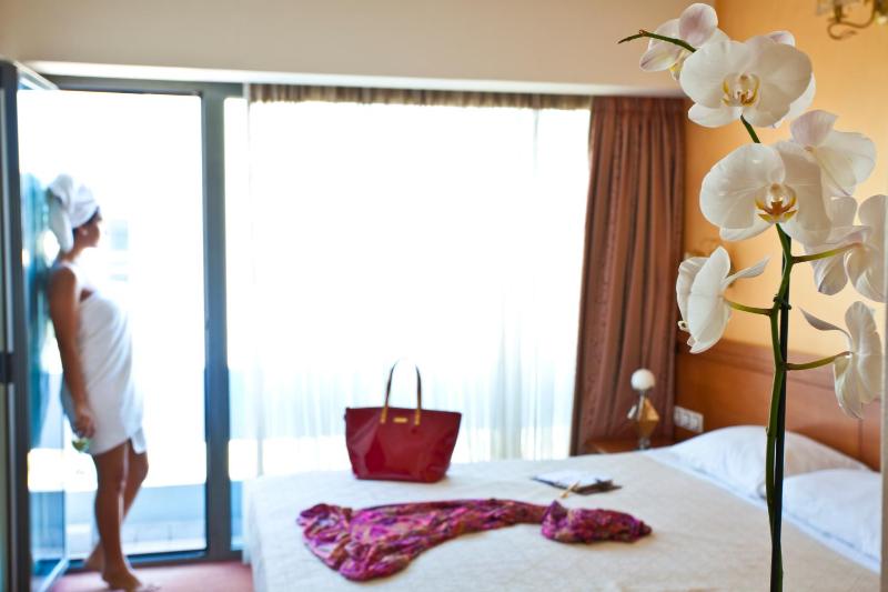 Double or Twin Room image 3