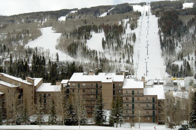 Vantage Point #307 condo - image 29