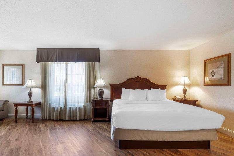 Deluxe Business King Suite with Spa Bath - Non-Smoking image 3