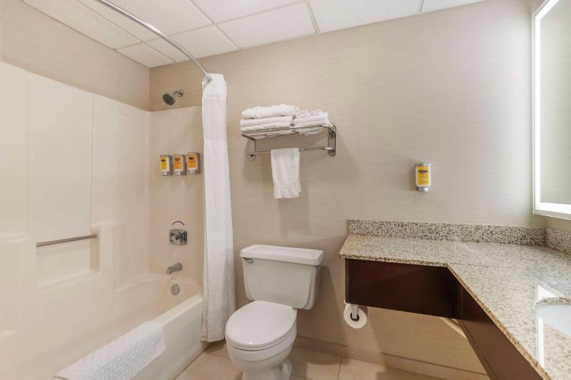 Deluxe Business King Suite with Spa Bath - Non-Smoking image 2
