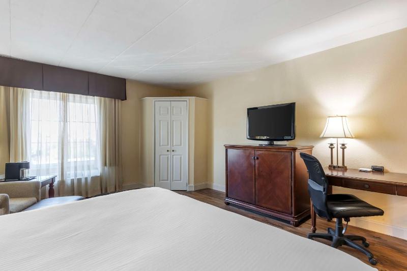 Business King Room - Non-Smoking image 4
