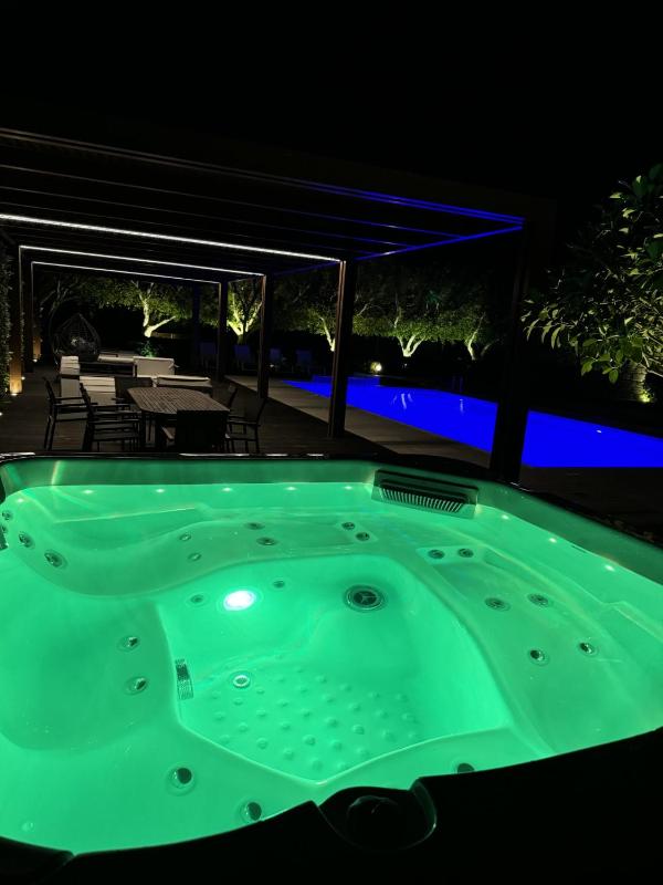 Villa with Private Pool image 3