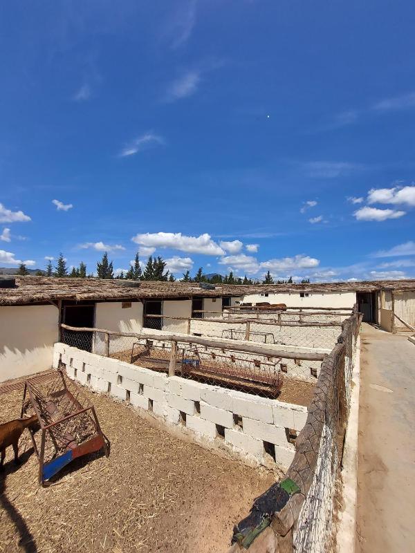 LA GRANJA - image 46