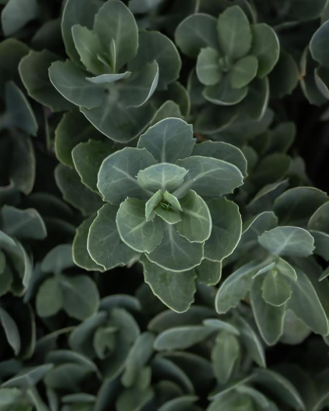 Studio (2 Adults) image 4