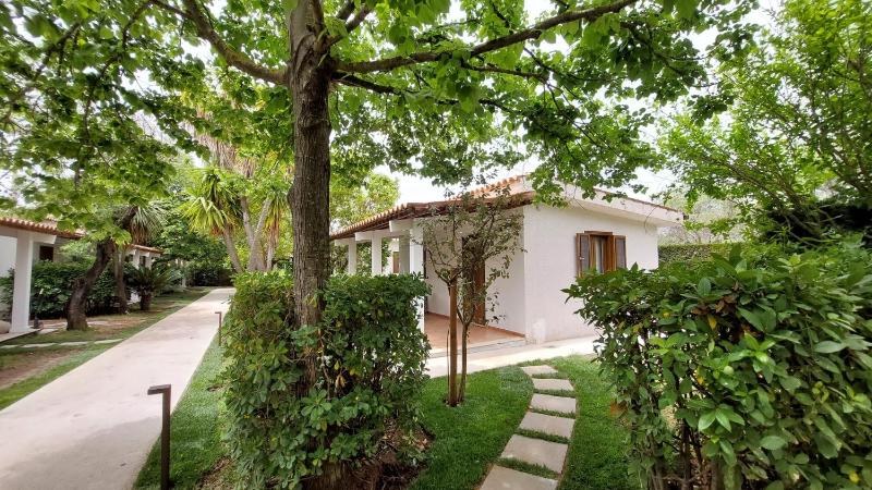 Superior Apartment with Patio - Ground Floor image 1