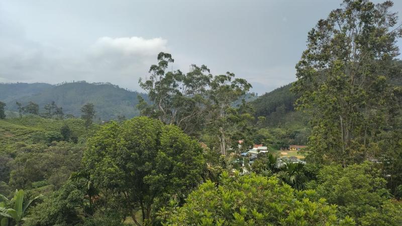 Villa Emerald Ella - image 8