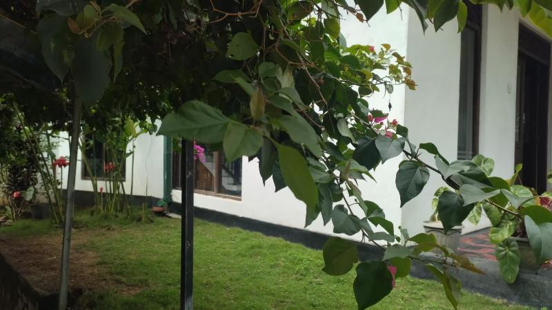 Villa Emerald Ella - image 3