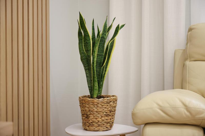 Elegant Apartment Near Wilson Square - image 10
