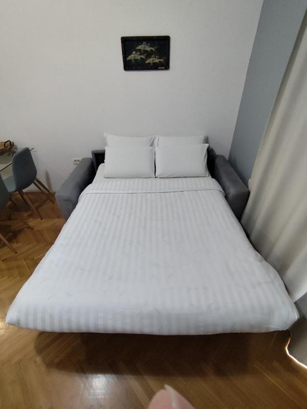 Comfort One Bedroom Apartment image 3