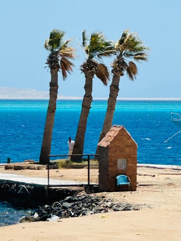 Zebra House Hurghada center - image 7