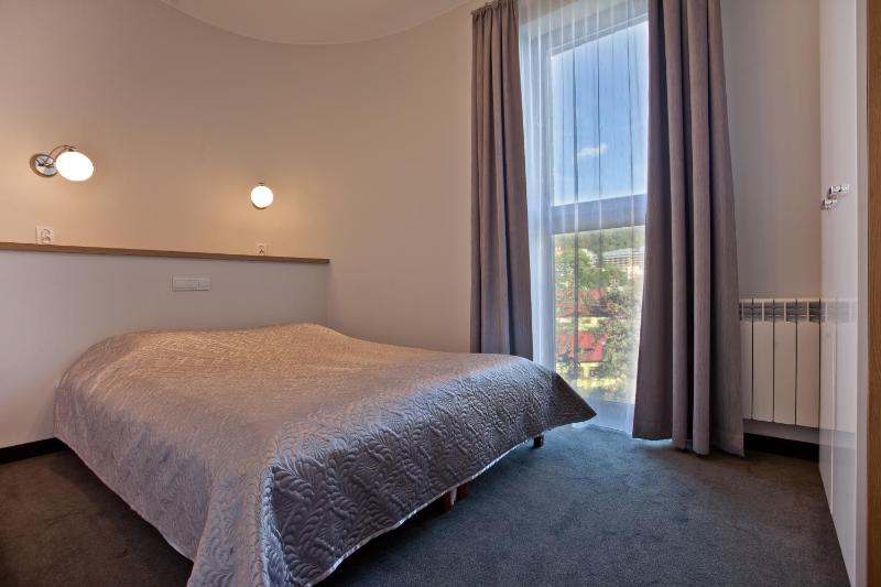 One-Bedroom Apartment image 3