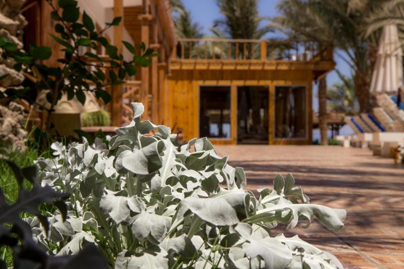 Acacia Dahab Hotel - image 18