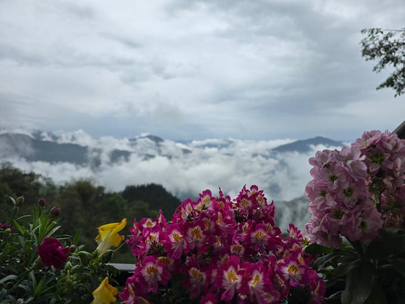 Morning Mist Homestay - image 47