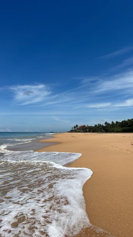 Beach Club Apartments - image 12