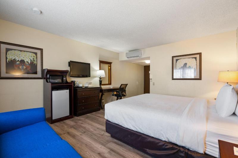 King Room - Accessible/Non Smoking image 3