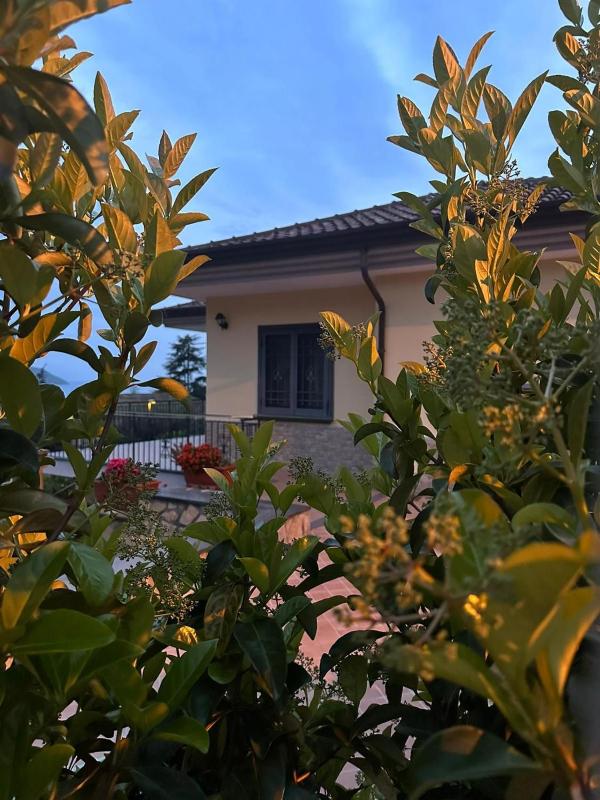 In Villa da Elena Images