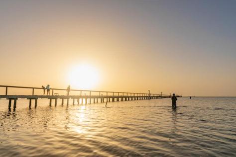 Reel 'em Inn Rockport - image 7