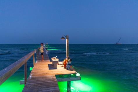 Reel 'em Inn Rockport - image 12