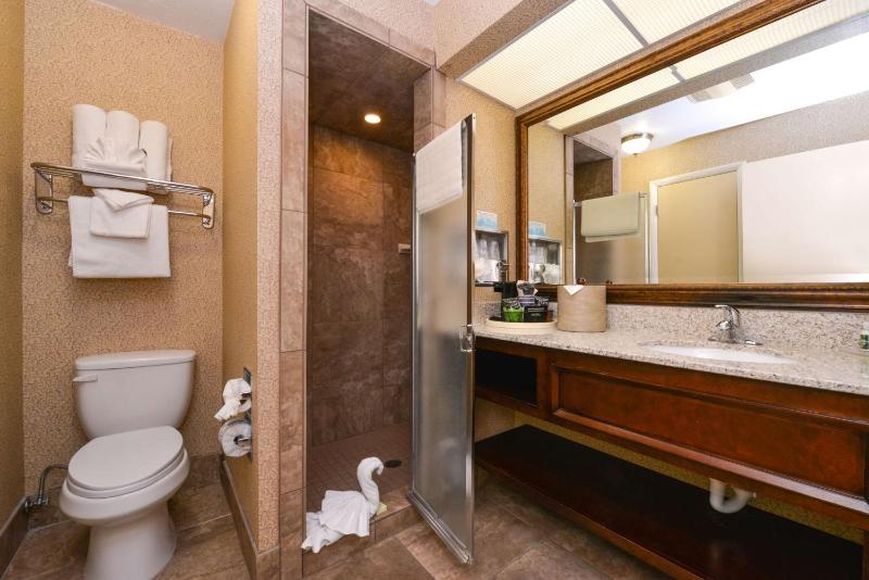 King Suite with Spa Bath image 2