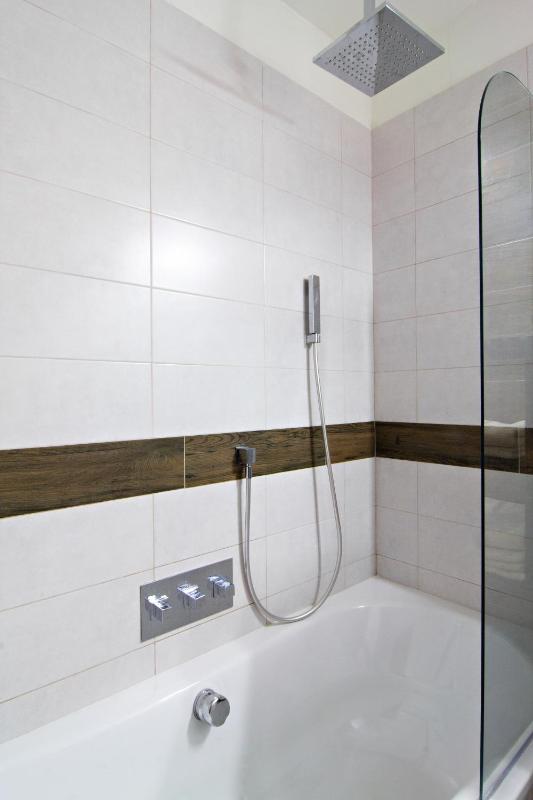Deluxe Apartment image 3