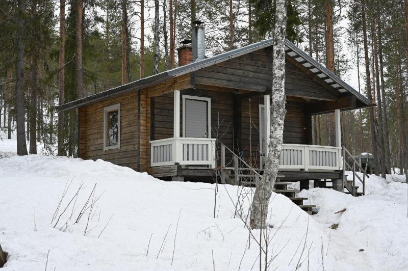 Holiday Cabin Aurora River inc Wilderness Sauna - image 34