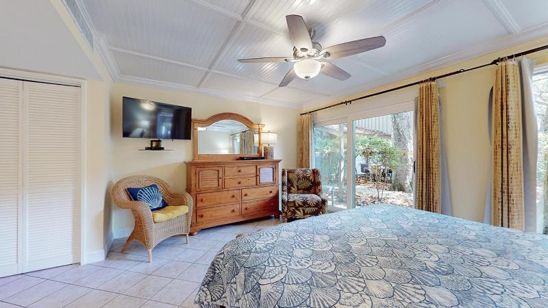 48 Water Oak - image 3