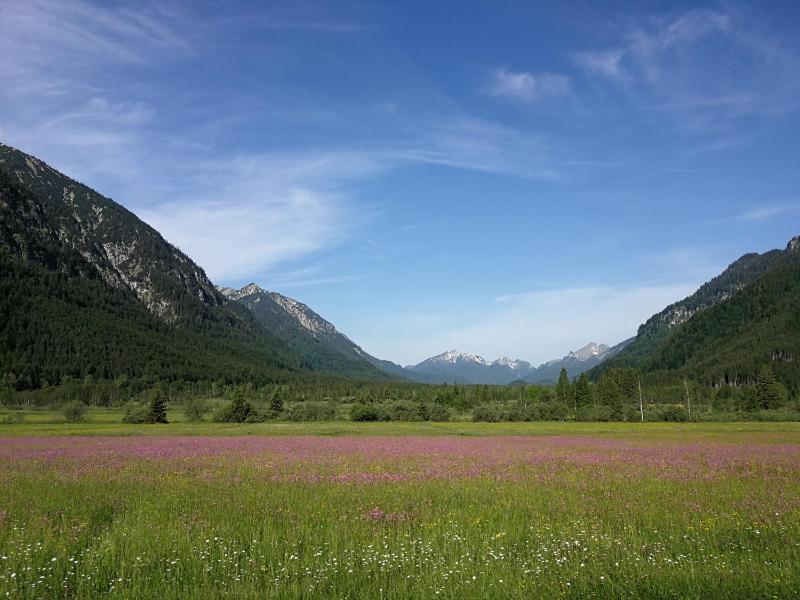 Apartment with Terrace image 3