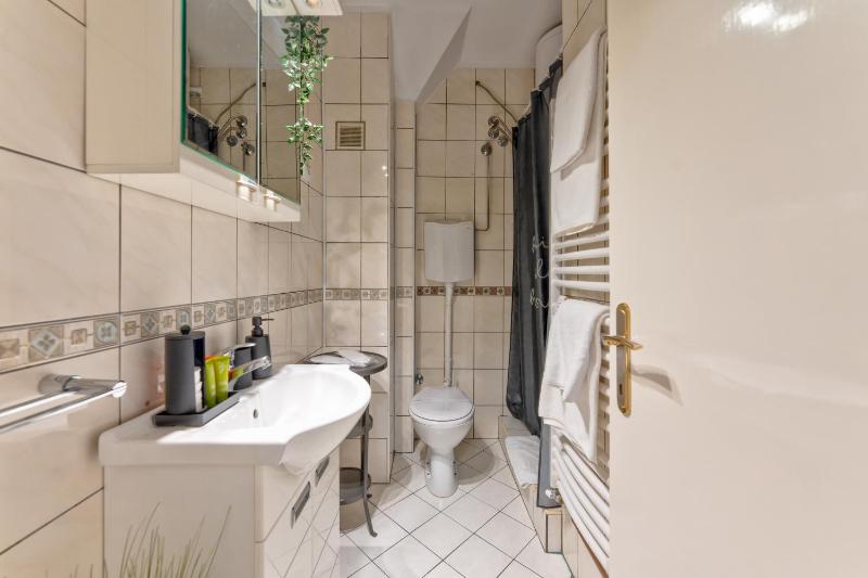 Apartment with Terrace image 3