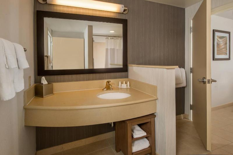 One-Bedroom King Suite with Sofa Bed image 2